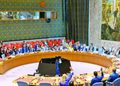 Consejo de Seguridad de la ONU condena crisis en Haití y emboscada a soldados El Salvador