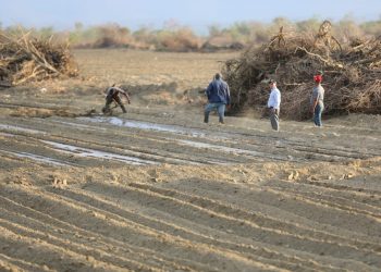 Tras 17 años de abandono, gobierno lanza renovación Proyecto Cruz de Manzanillo