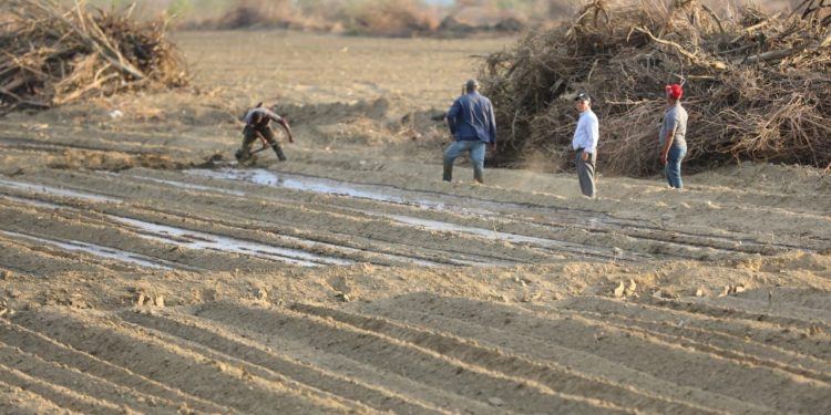 Tras 17 años de abandono, gobierno lanza renovación Proyecto Cruz de Manzanillo