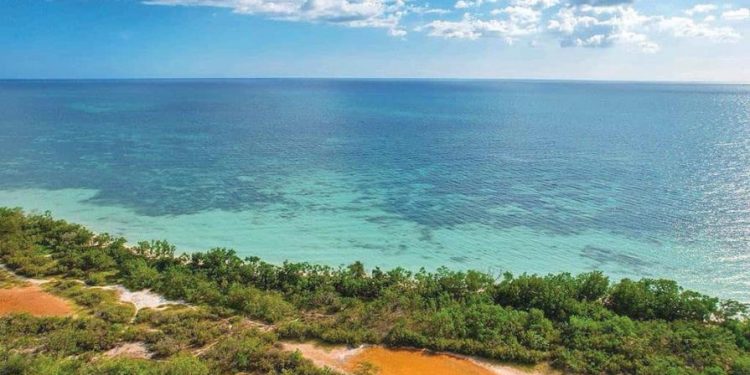 Laura Acosta: “El Estado nunca ha desistido de la litis de la parcela 40”