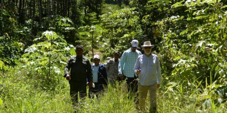 Medio Ambiente presentará cargos contra desaprensivos depredaban Loma Novillero