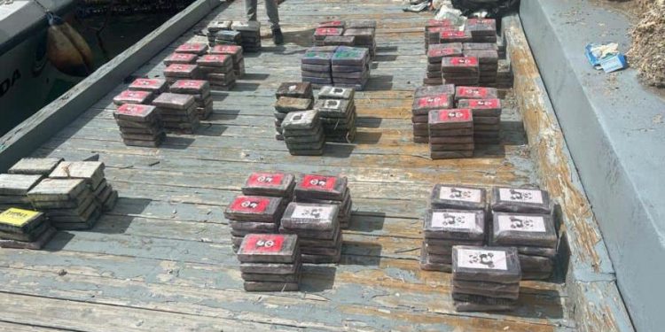 Lucha contra el narcotráfico en RD: En lo que va de año han incautado 15.2 toneladas de drogas