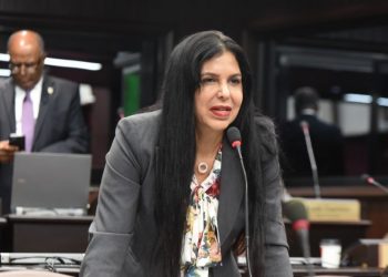 TSE declara inadmisible recurso de amparo de diputada Rosa Amalia Pilarte contra PRM