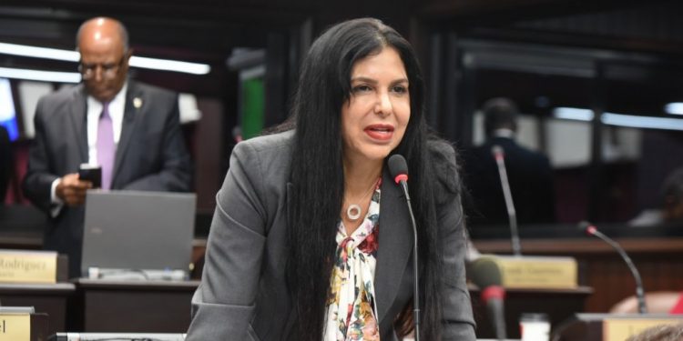 TSE declara inadmisible recurso de amparo de diputada Rosa Amalia Pilarte contra PRM