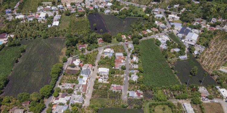 La explosión inmobiliaria se come terrenos agrícolas dominicanos