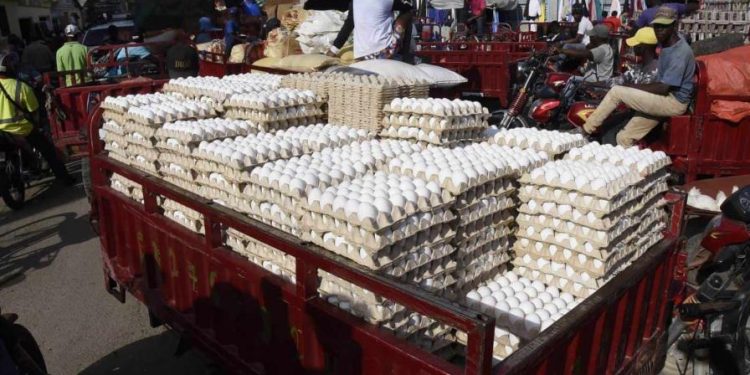 Productores bajan precio de los huevos ante poca demanda por cierre del mercado fronterizo