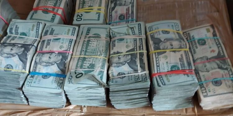 Nueva unidad canina K9 de DGA decomisa más de USD$240 mil dólares y múltiples armas