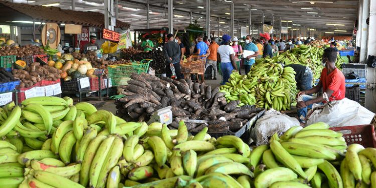 BCRD: inflación interanual bajó a 4.0 % en noviembre