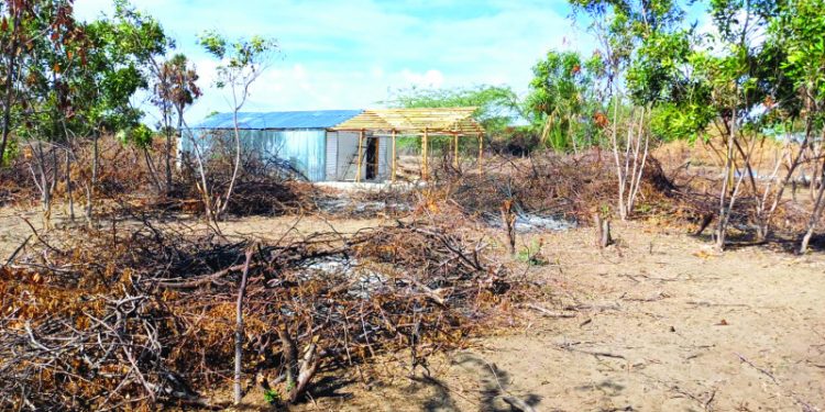 Levantan construcciones en Las Dunas de Baní