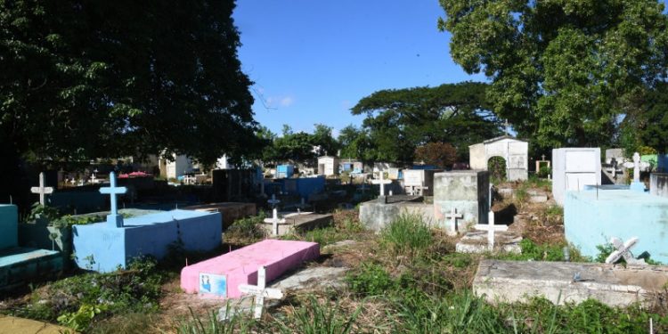 Cunas vacías: el destino de los cadáveres neonatos abandonados en hospitales