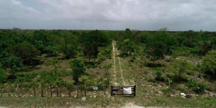 Abinader se basa en sentencia de SCJ para poner fin al AIB