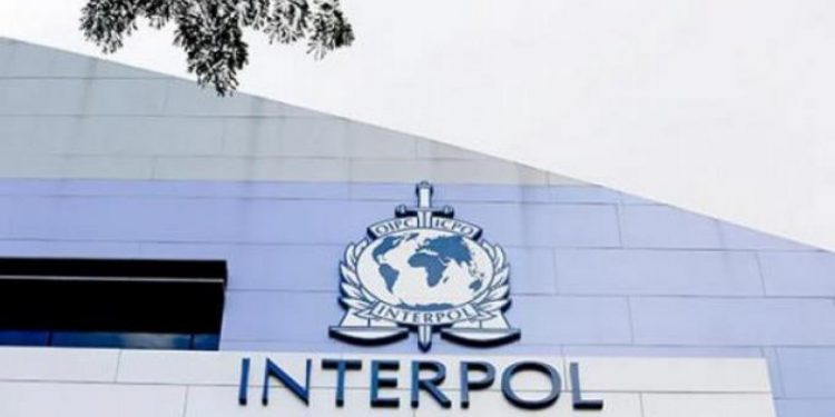 Interpol RD extradita a canadiense y dominicano prófugos por fraude bancario y contrabando de drogas