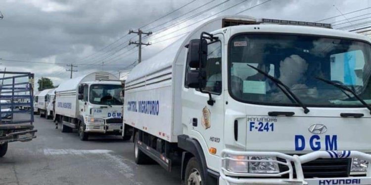 Migración: futbolista cubano fue detenido por falta de documentos y no por confundirlo con haitiano