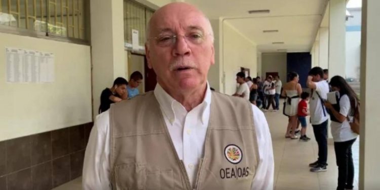 Observadores OEA afirman que los comicios se desarrollaron con toda normalidad