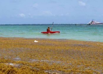Prevención y recogida, los temas tratados en primera reunión del Gabinete de Sargazo