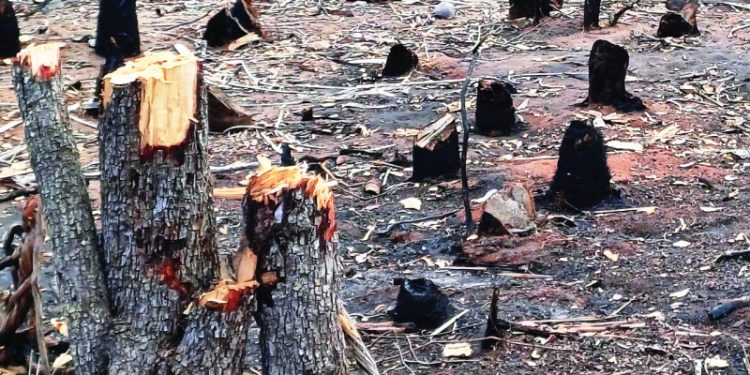 Baní defenderá Dunas y luchará para que sea un parque nacional bien protegido