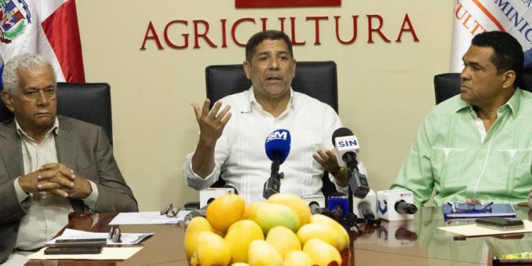 República Dominicana busca aumentar hasta en 30 % exportaciones de mango en 2024