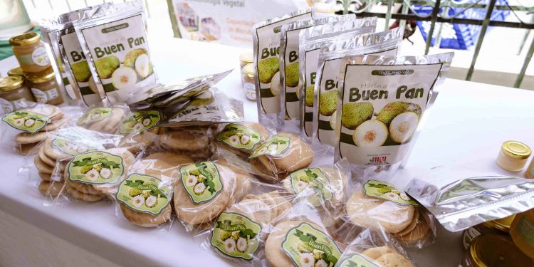 Buen pan: de "comida para cerdos" a "superalimento" exportable para República Dominicana