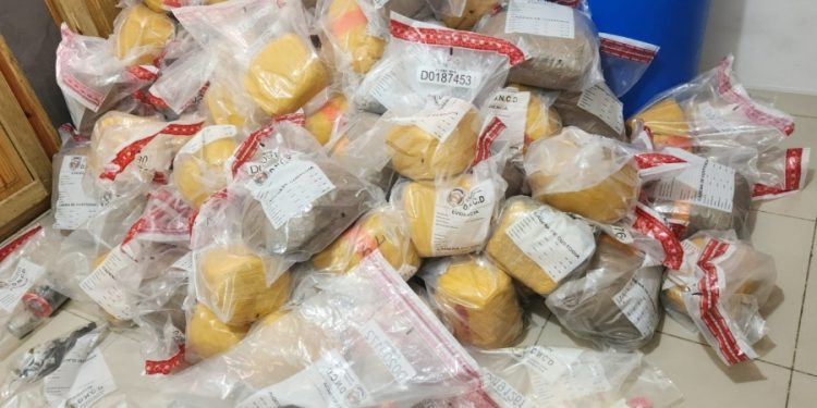 Tres detenidos y 500 libras de marihuana incautadas durante operativos en Santiago