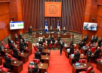 Senado conforma comisión especial para estudiar observaciones a Ley de la Cámara de Cuentas
