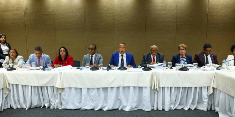 Comisión del Código Penal pedirá extensión de plazo para presentar un informe