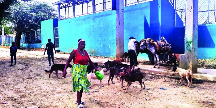 Invisibles: Cientos están sin declarar en Santiago Oeste