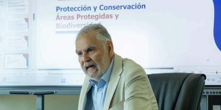 Ceara Hatton: "Mi principal aporte fue darle carácter al Ministerio de Medio Ambiente"