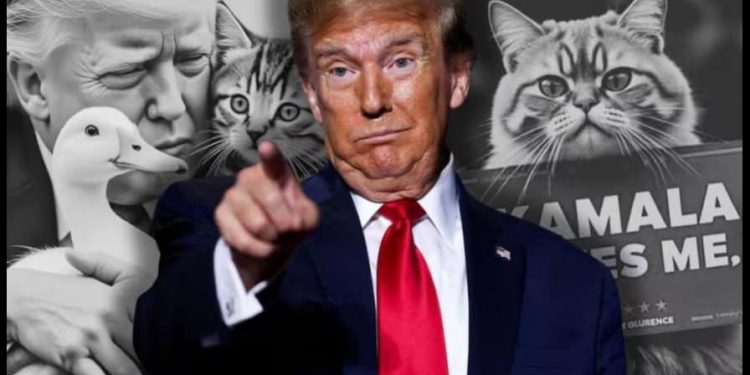 Haitianos en EE.UU. piden a Trump que pare de contar "peligrosas mentiras" sobre sus compatriotas