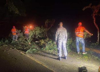 Ventarrón causa daños en localidades de Santiago