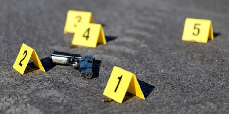 República Dominicana registra 87 abatidos por agentes de la Policía Nacional en 2024