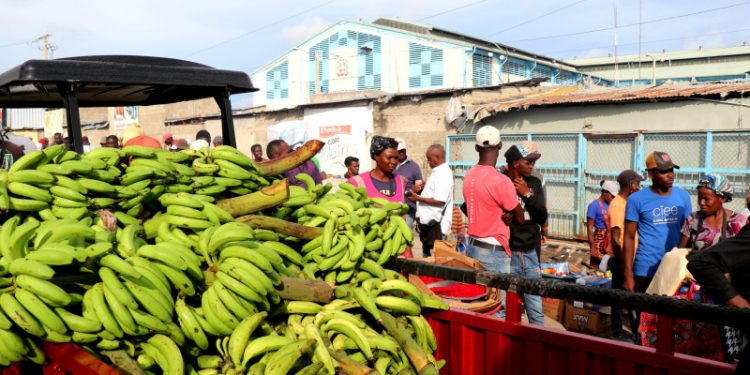 Mercados son la fuente de acopio para haitianos