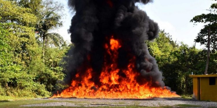 Incinerada cerca de una tonelada de drogas