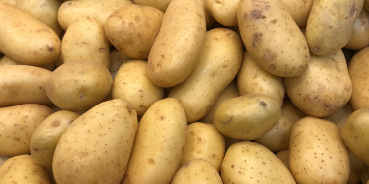 RD logró ser autosuficiente en producción de papas, dice el ministro Limber Cruz