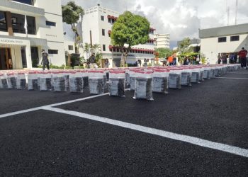 La incautación de droga récord tendría valor de 250 millones de dólares, según DNCD