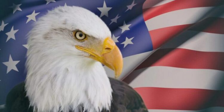 El águila calva es oficialmente designada como el ave nacional de Estados Unidos