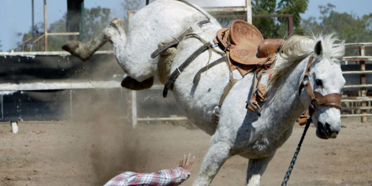 Desde un caballo hasta una pala mecánica: Las muertes en medios de transporte inusuales en 2024