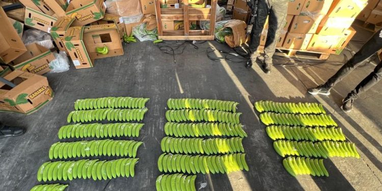 Incautan 303 guineos de cerámica llenos de cocaína en puerto Manzanillo