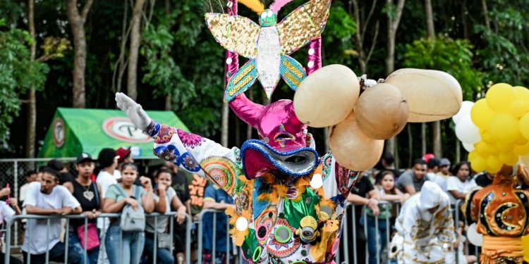 “Carnaval de Santiago: Un segundo domingo exitoso que une a toda la familia”