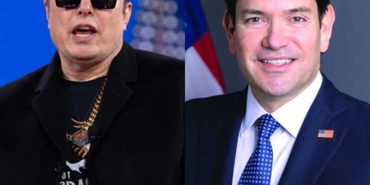 Trump niega supuesto enfrentamiento entre Elon Musk y Marco Rubio