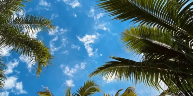 Indomet: Prevalecerá un cielo despejado con nubes dispersas en gran parte del país