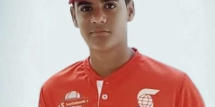 Corte ratifica condena de dos años contra el conductor que mató a un prospecto de béisbol al atropellarlo en Santiago.