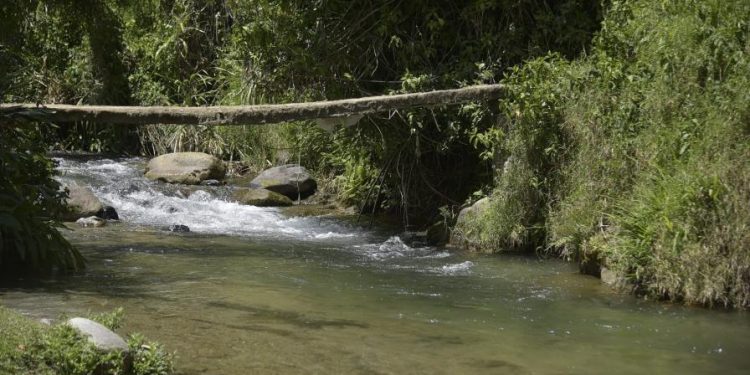 Un mes de búsqueda incesante tras el rastro del niño Roldanis Calderón