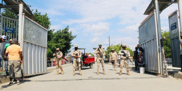 Ejército recupera ganado en la frontera; fueron localizadas con drones
