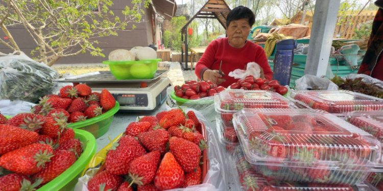 Aldea Xinzhuan: Un pequeño pueblo de China que vive gracias a su arte y cultivo