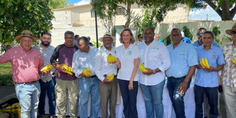 Bananeros solicitan 15,000 trabajadores haitianos