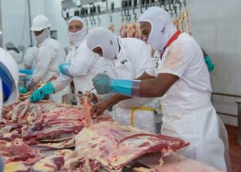 Denuncian la suspensión de permisos para la importación de carne de pollo, res y cerdo