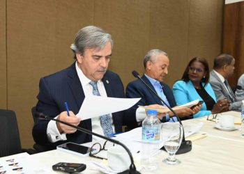 Los diputados unirán proyectos de las candidaturas independientes