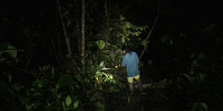Once militares de ecuatorianos mueren en una emboscada de guerrilleros colombianos