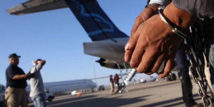 631 dominicanos han sido extraditados en seis años
