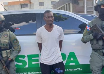 SENPA detiene haitiano que mató tiburón en playa Guayacanes